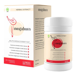 Megaburn